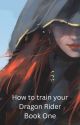 How to train your Dragon Rider by AbigailRubiano