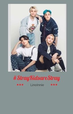 #StrayKidsAreStray cover