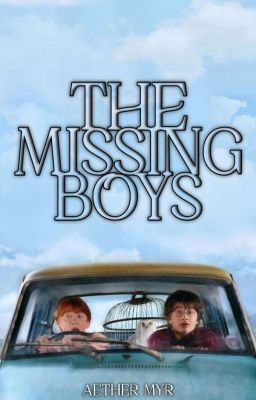 The missing boys ✔ cover