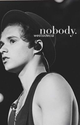 nobody | brad s. cover