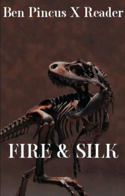 Fire & Silk | Ben Pincus x Reader cover