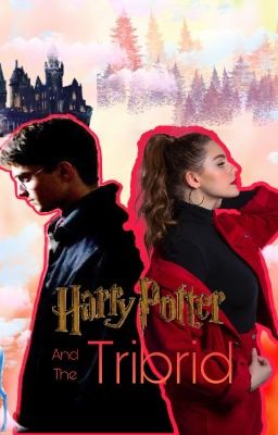 Harry Potter and the Tribrid cover