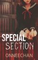 Special Section (Published under Pop Fiction) by OnneeChan