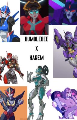 BUMBLEBEE X HAREM cover