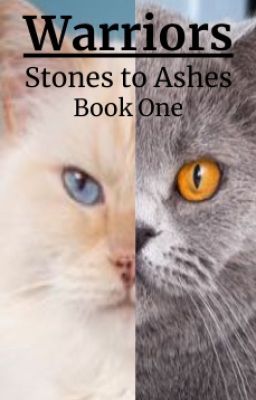 Stones to Ashes - Warriors Fanfiction cover