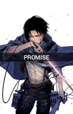 Promise (Levi x Reader) cover