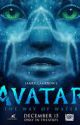 Avatar 2 : Neteyam x Y/n by Rainloverx