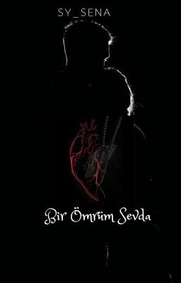 BİR ÖMRÜM SEVDA cover