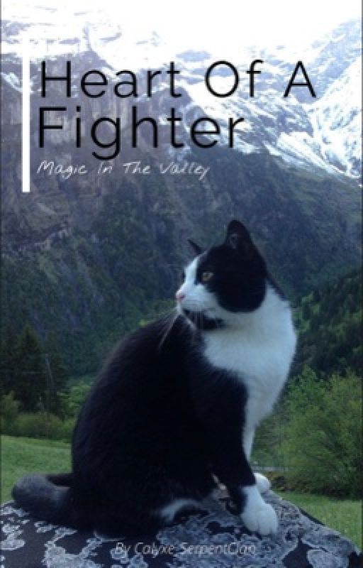 Heart Of A Fighter (Book 4): Magic In The Valley by Stormfast_Studios