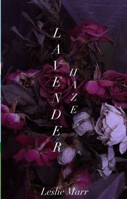 Lavender Haze  cover