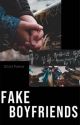 Fake Boyfriends || DNF by alienindustry