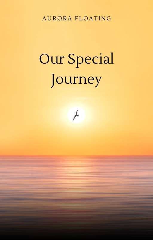 Our Special Journey by lifelearnerz