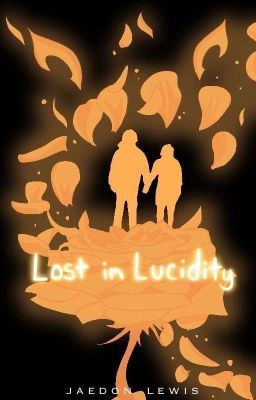 Lost In Lucidity cover