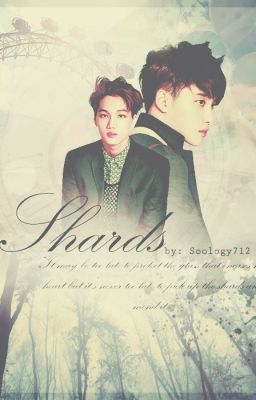 Shards [Kaisoo(boyxboy)] cover