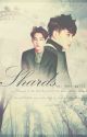 Shards [Kaisoo(boyxboy)] by taerriwinkle