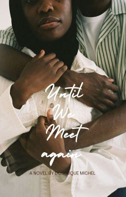 Until We Meet Again cover