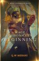 MAGE CHRONICLES: THE BEGINNING by GW_Merak1