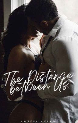 The Distance Between Us (The Ludovica Siblings #2) cover