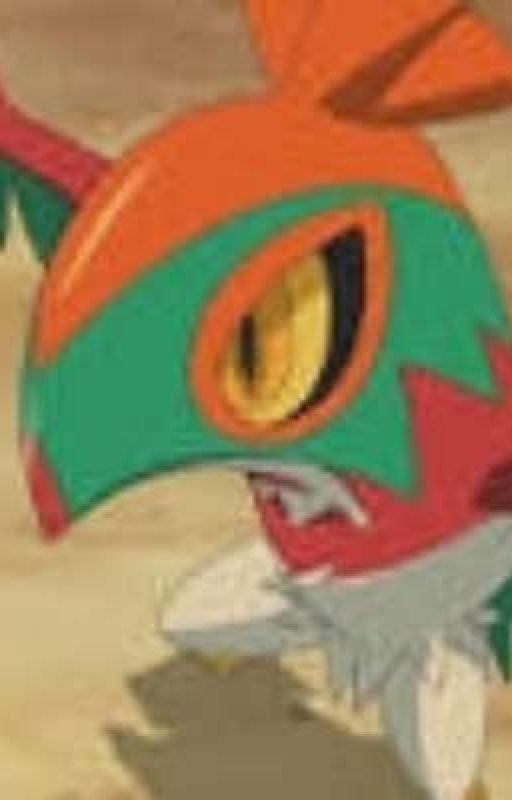 Hawlucha X Talonflame by TrueFalcon_