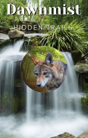 Dawnmist: Hidden Trails by Teboremi