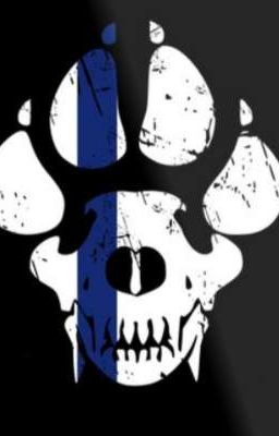 Thin Blue Skull cover