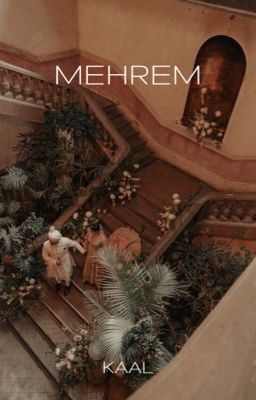 Mehrem- The Confidant cover