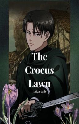 The Crocus Lawn// Levi x reader BOOK 1 cover