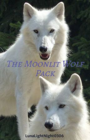 The Moonlit Wolf Pack by Liamstar666