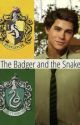 The Badger and the Snake: A Sebastian Sallow x reader by madhigs