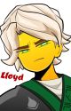 "What A Rollercoaster That Was.." - A Lloyd x Brad Fanfic: Book 1! by Angry_Goblin33