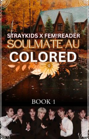 ✔ COLORED | soulmate AU [ fem!reader X skz Ot8 ] by skye_dvt