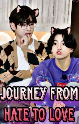 Journey From Hate To Love || Taekook || cover