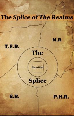 The Splice of The Realms  cover