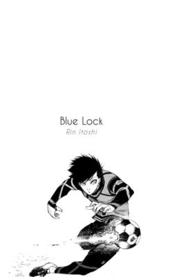 Blue lock x reader | chatfic ♡ cover