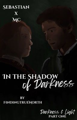 In the Shadow of Darkness | Sebastian Sallow cover