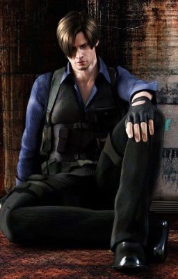 Let go ( Leon S. Kennedy x Reader) cover