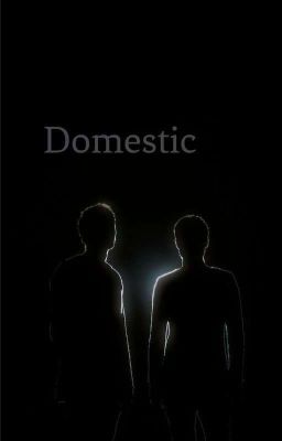 Domestic cover