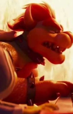 Bowser X FEM reader cover