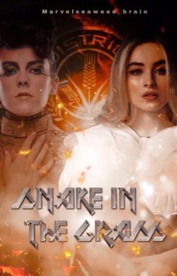 Snake in the Grass [Johanna Mason x oc] cover