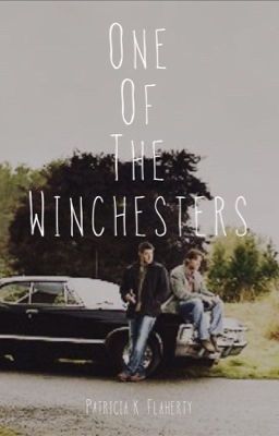 One Of The Winchesters cover