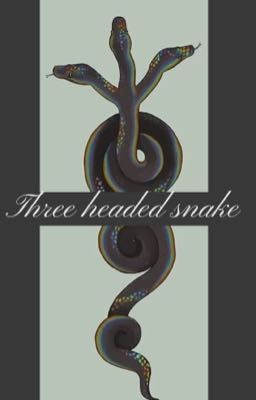 Three headed snake (Sebastian Sallow //Omimis gaunt Xreader) cover