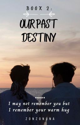 Book 2: Our Past Destiny cover