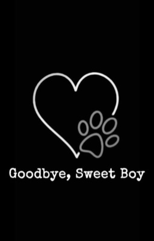 Goodbye, Sweet Boy by SapphireGinger