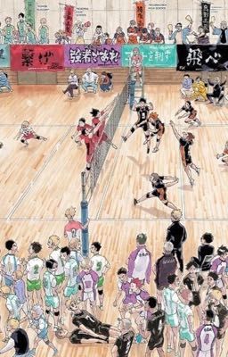 Haikyuu Rare Pairs  cover