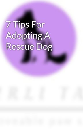 7 Tips For Adopting A Rescue Dog by curlitailss