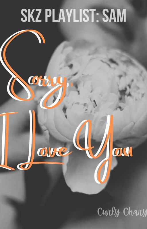 SKZ Playlist: SAM - Sorry, I Love You by curlych4ry