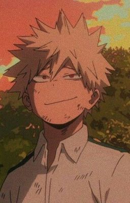 Soft | Bakugou x Fem reader cover