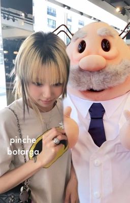 pinche botarga  cover