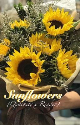 Sunflowers (Quackity x Reader) cover