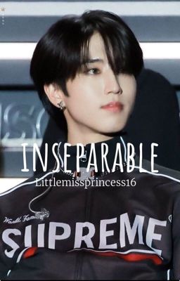 Inseparable han Jisung ff  cover